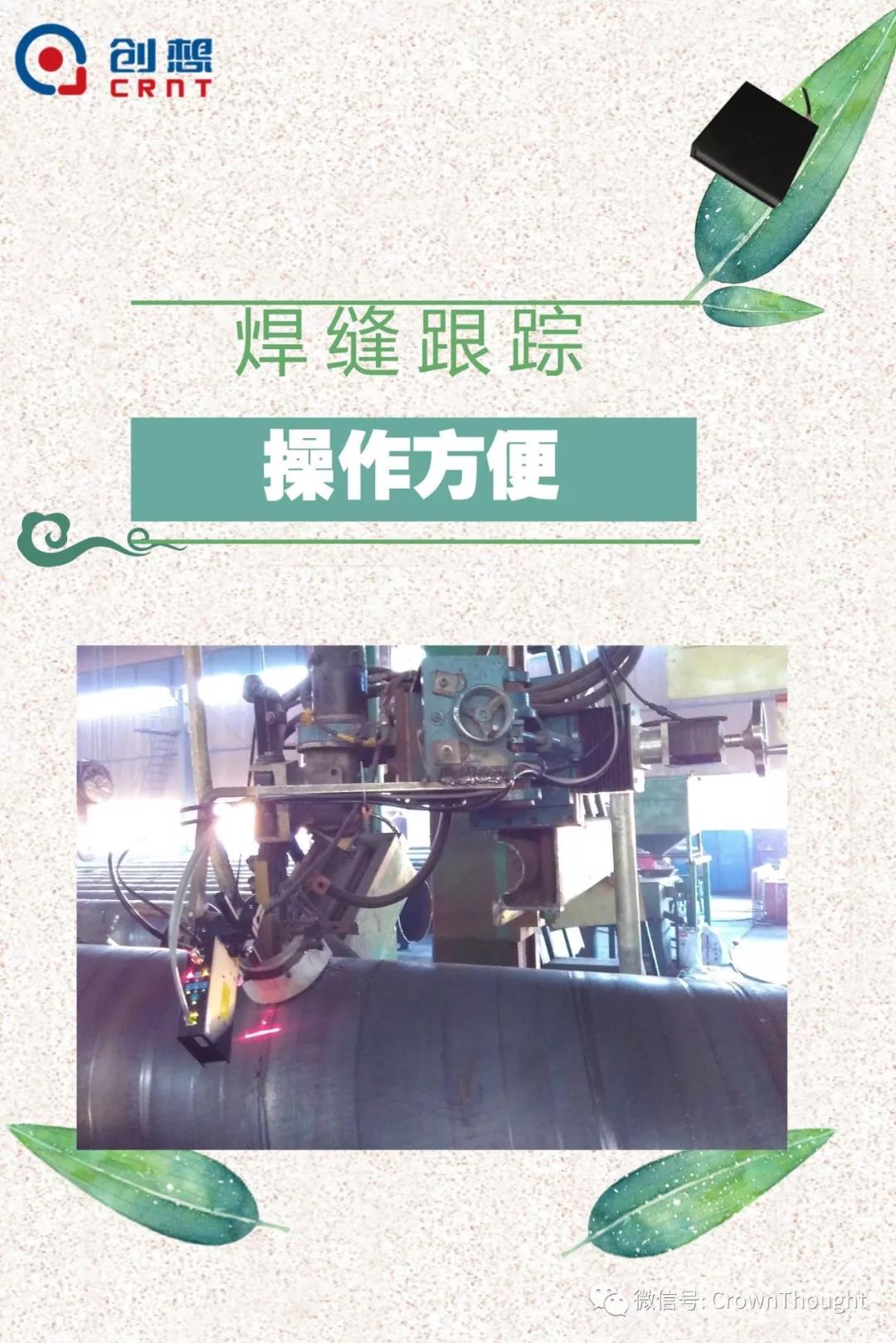 粽葉帶來的不僅僅是粽子，還有...