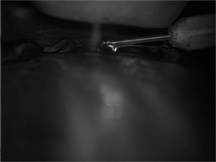 焊接熔池監(jiān)控相機：推動焊接行業(yè)數字化轉型的關鍵技術